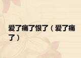 爱了痛了恨了（爱了痛了）