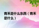 青禾是什么东西（青禾是什么）