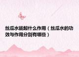 丝瓜水能起什么作用（丝瓜水的功效与作用分别有哪些）