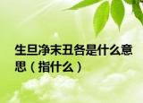 生旦净末丑各是什么意思（指什么）