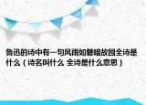 鲁迅的诗中有一句风雨如磐暗故园全诗是什么（诗名叫什么 全诗是什么意思）
