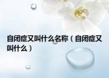 自闭症又叫什么名称（自闭症又叫什么）