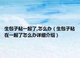 生包子粘一起了,怎么办（生包子粘在一起了怎么办详细介绍）