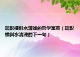 疏影横斜水清浅的哲学寓意（疏影横斜水清浅的下一句）