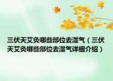 三伏天艾灸哪些部位去湿气（三伏天艾灸哪些部位去湿气详细介绍）