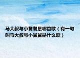 马大叔与小舅舅是哪首歌（有一句叫马大叔与小舅舅是什么歌）