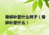 骨碎补是什么样子（骨碎补是什么）