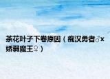 茶花叶子下卷原因（痴汉勇者♂x娇弱魔王♀）