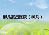 柳凡武昌医院（柳凡）