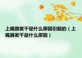 上嘴唇发干是什么原因引起的（上嘴唇发干是什么原因）