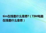 tim在线是什么意思?（TIM电脑在线是什么意思）