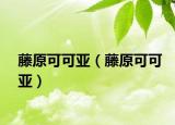 藤原可可亚（藤原可可亚）