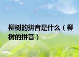 柳树的拼音是什么（柳树的拼音）