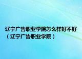 辽宁广告职业学院怎么样好不好（辽宁广告职业学院）