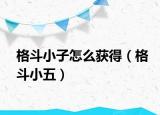 格斗小子怎么获得（格斗小五）
