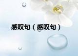 感叹句（感叹句）