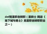 dnf男圣职者转职（圣骑士 网游《地下城与勇士》男圣职者转职职业之一）