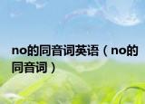 no的同音词英语（no的同音词）