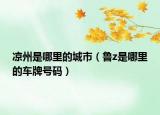 凉州是哪里的城市（鲁z是哪里的车牌号码）