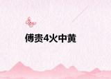 傅贵4火中黄