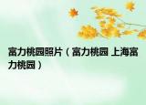 富力桃园照片（富力桃园 上海富力桃园）