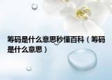 筹码是什么意思秒懂百科（筹码是什么意思）