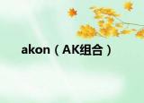 akon（AK组合）