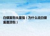 白银案包头案情（为什么说白银案是顶包）