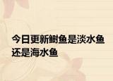 今日更新鲥鱼是淡水鱼还是海水鱼