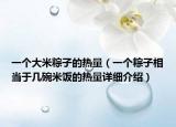 一个大米粽子的热量（一个粽子相当于几碗米饭的热量详细介绍）