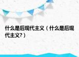 什么是后现代主义（什么是后现代主义?）