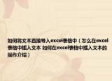 如何将文本直接导入excel表格中（怎么在excel表格中插入文本 如何在excel表格中插入文本的操作介绍）