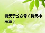 诗天子公众号（诗天神右翼）
