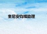 奎尼安钧璨助理