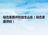 综合素质评价招生山东（综合素质评价）