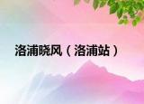 洛浦晓风（洛浦站）