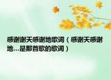 感谢谢天感谢地歌词（感谢天感谢地…是那首歌的歌词）