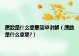 质数是什么意思简单讲解（质数是什么意思?）
