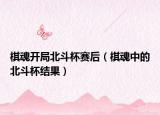 棋魂开局北斗杯赛后（棋魂中的北斗杯结果）