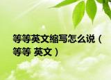 等等英文缩写怎么说（等等 英文）