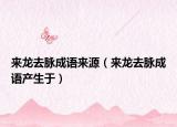来龙去脉成语来源（来龙去脉成语产生于）