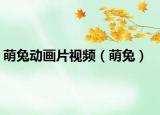 萌兔动画片视频（萌兔）