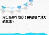 河汾是哪个地方（黑f是哪个地方的车牌）