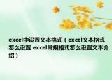 excel中设置文本格式（excel文本格式怎么设置 excel常规格式怎么设置文本介绍）