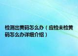 检测出黄码怎么办（应检未检黄码怎么办详细介绍）