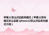 苹果11怎么开启防丢模式（苹果12丢失模式怎么设置 iphone12怎么开启丢失模式介绍）