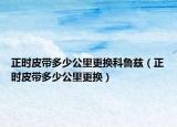 正时皮带多少公里更换科鲁兹（正时皮带多少公里更换）