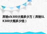 奔驰slk300大概多少万（奔驰SLK300大概多少钱）