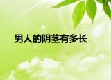 男人的阴茎有多长