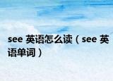 see 英语怎么读（see 英语单词）